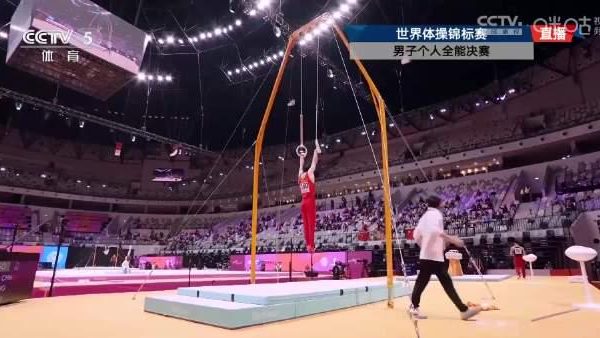 海外華人追體操世錦賽崩潰實錄:張博恒吊環14.6分驚艷全場,我卻卡在緩衝圈裡轉圈圈