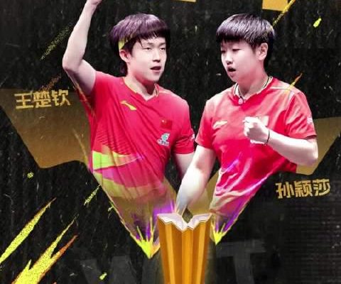 海外華人深夜刷到王楚欽孫穎莎奪冠瞬間,卻因地區限制卡成PPT!這些年我們錯過多少熱血時刻