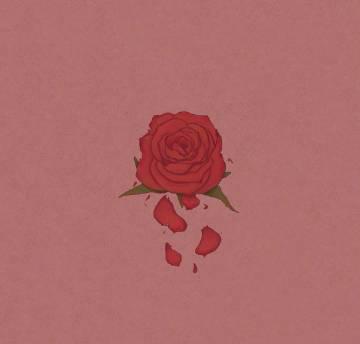 海外追星族必看!解決愛奇藝區域限制與卡頓問題,輕鬆收看柳爽《玫瑰竊賊》重製版