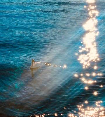 海外華人追劇聽歌總卡頓?我翻遍朋友圈才發現,原來大家都用這招解鎖地區限制