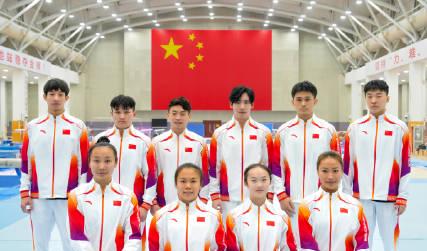 刷到體操世錦賽全家福時,我正熬夜改方案——看到張博恆握拳的模樣,突然想起當年校運會摔在墊子上的自己